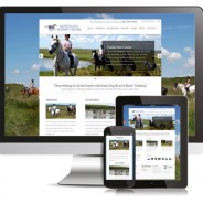 Moycullen Riding Centre Launches All New Responsive Website
