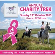 Annual Charity Trek for Breast Cancer Research