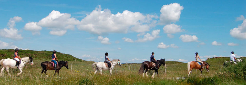 1 & 2 Day Horse Riding Packages